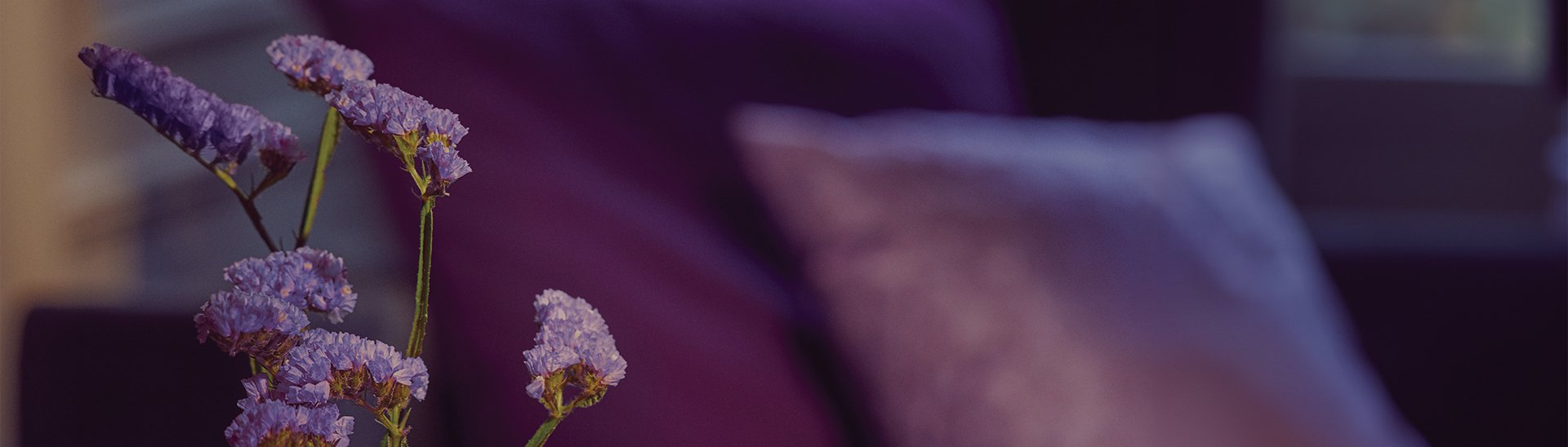 Nos prestations : Ménage pour les ainés